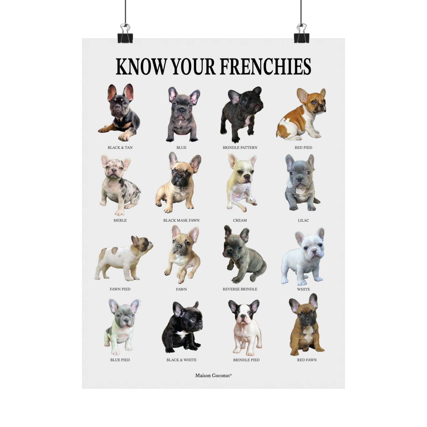 "Know Your Frenchies" Poster