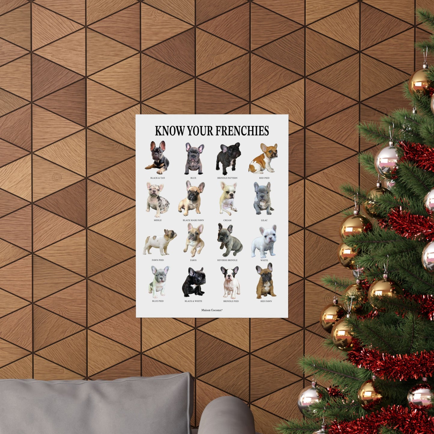 "Know Your Frenchies" Poster