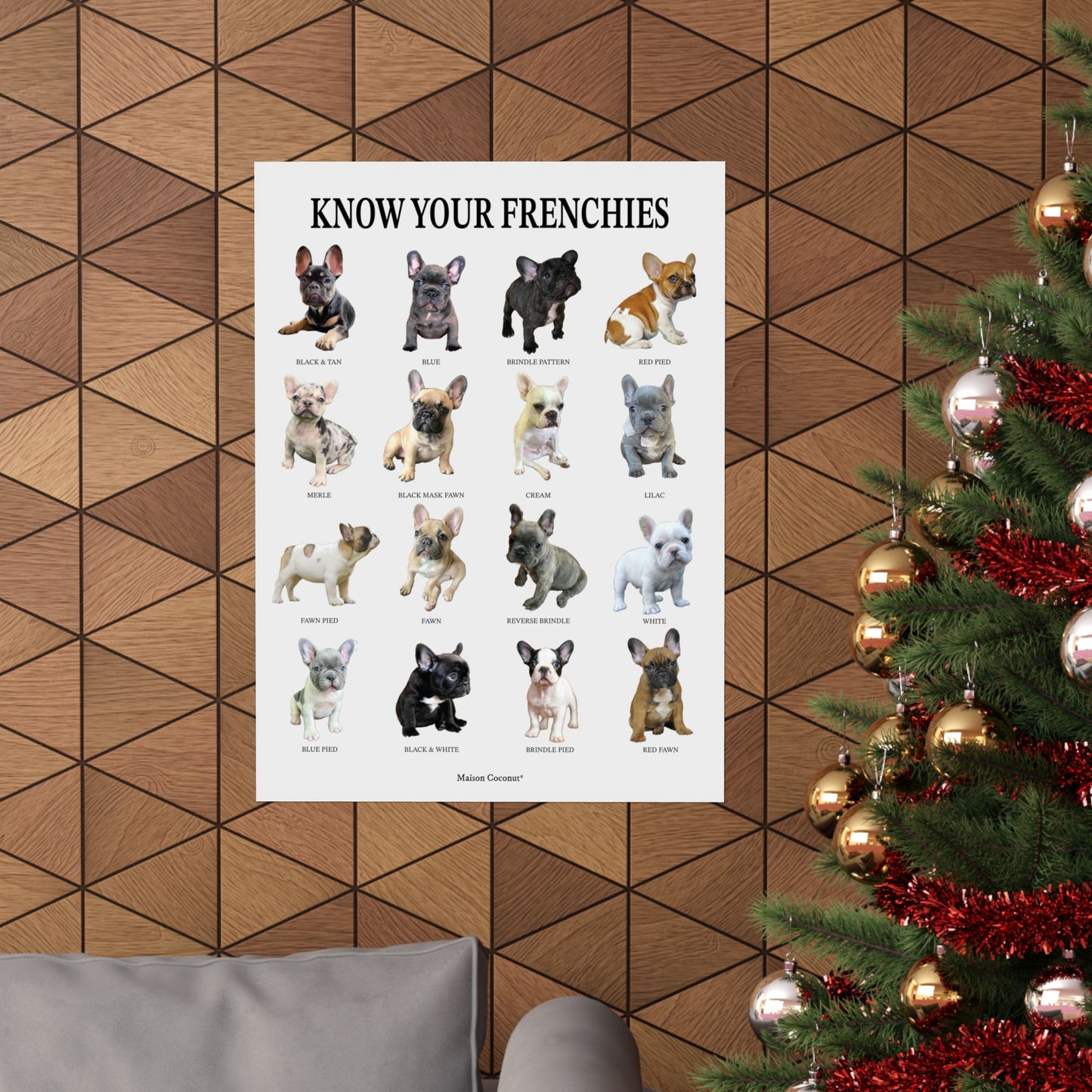 "Know Your Frenchies" Poster